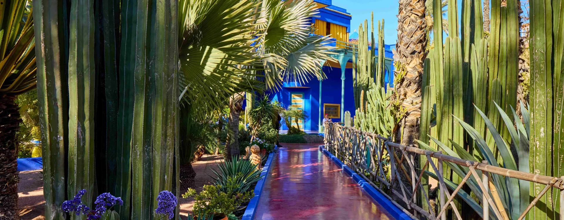 Marrakech Essentielle