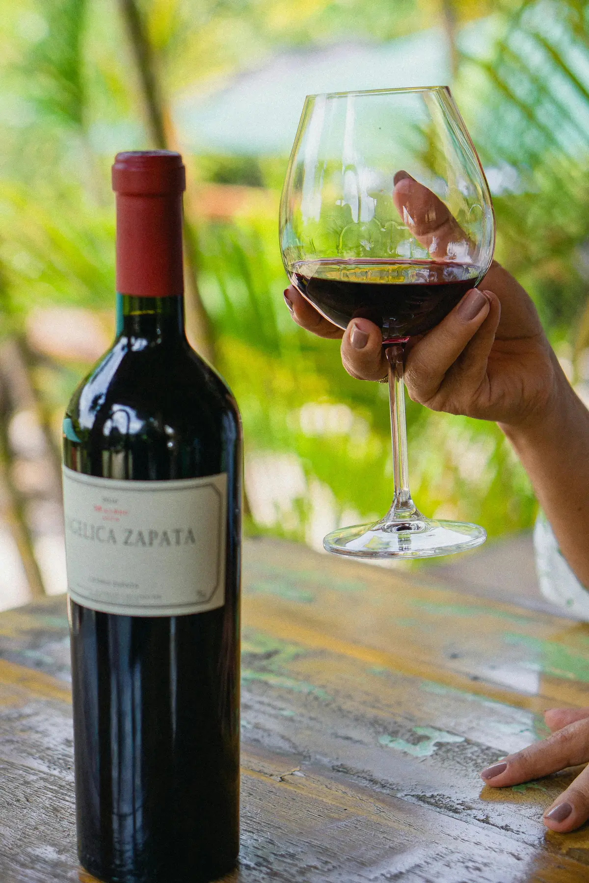 Dégustation de Vins au Maroc