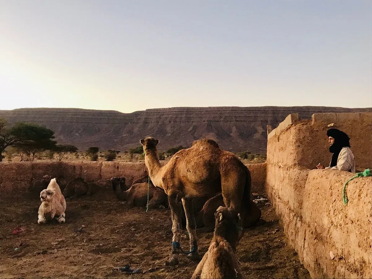 Voyages sur mesure au Maroc